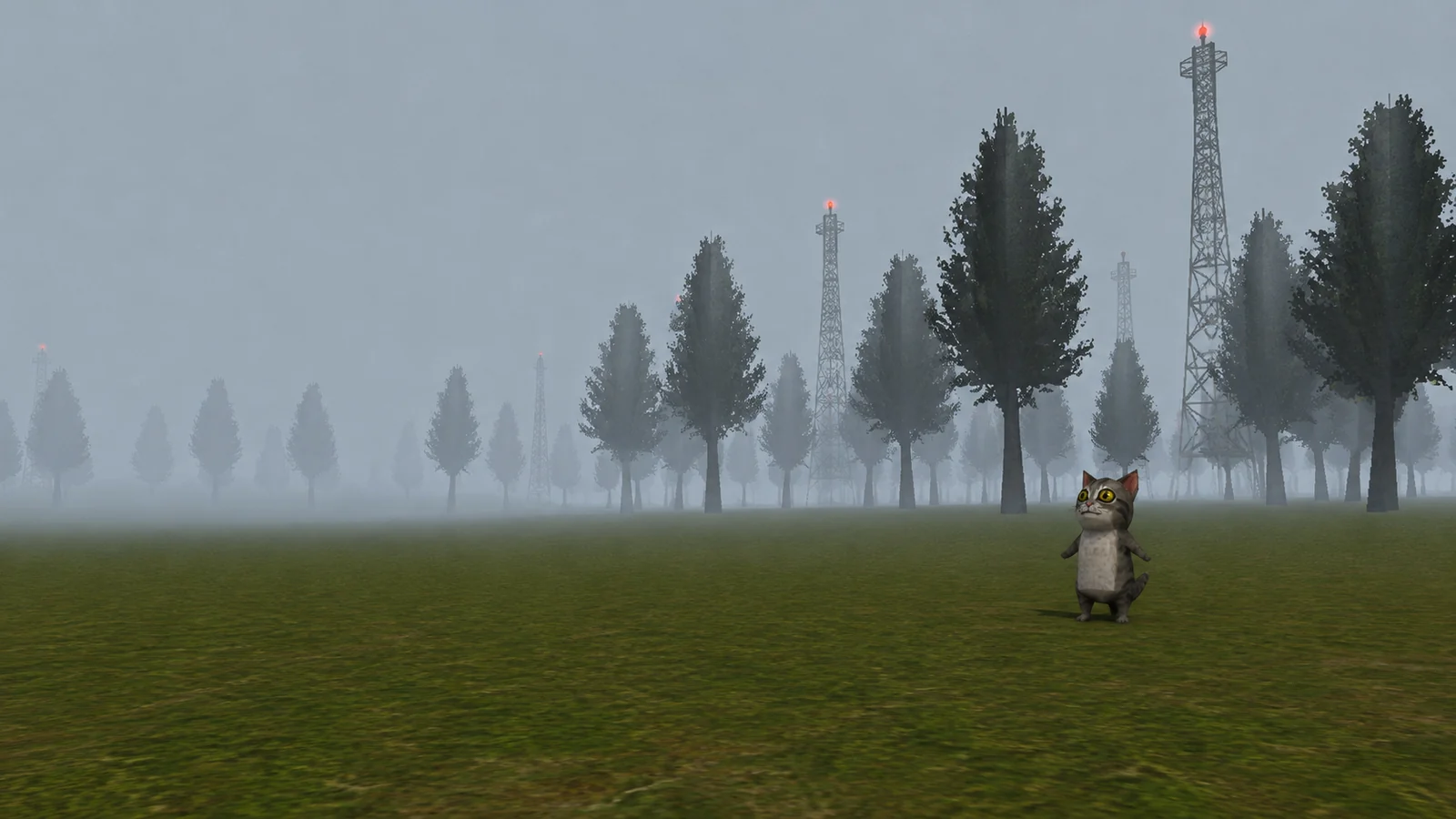 A foggy field of antenna masts where the cat lives